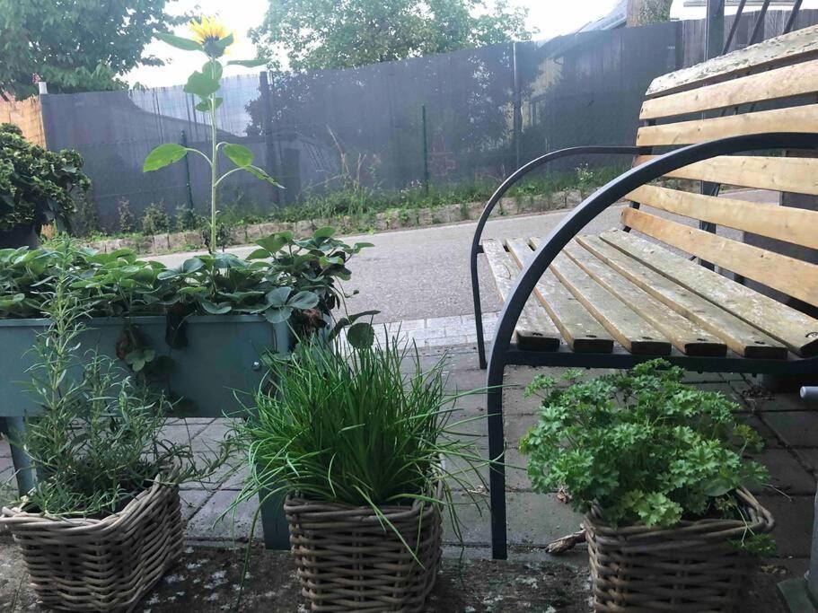 Wohnung In Gehobener Lage Bruchsal Bagian luar foto